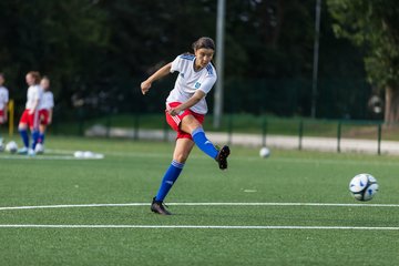 Bild 49 - C-Juniorinnen HSV - Walddoerfer : Ergebnis: 9:1